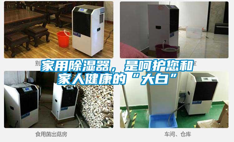家用除濕器，是呵護(hù)您和家人健康的“大白”