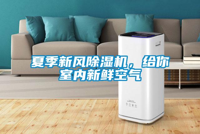 夏季新風(fēng)除濕機(jī)，給你室內(nèi)新鮮空氣