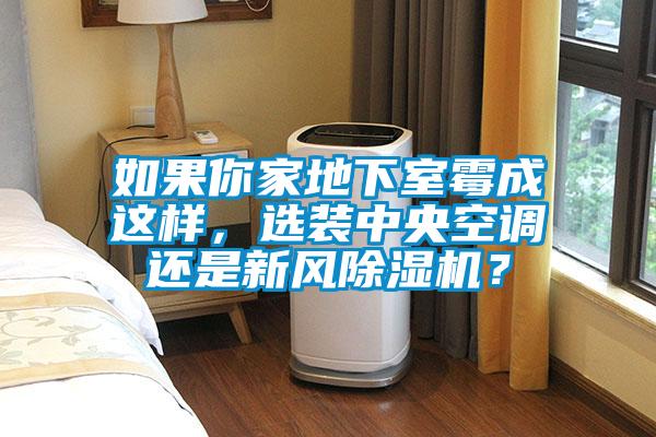 如果你家地下室霉成這樣，選裝中央空調(diào)還是新風(fēng)除濕機(jī)？