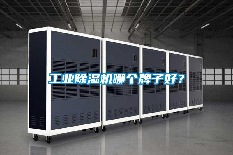 工業(yè)除濕機(jī)哪個(gè)牌子好？