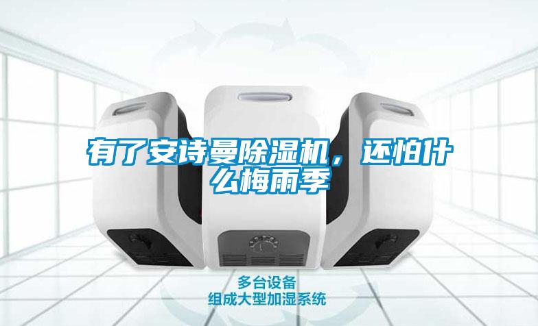 有了安詩(shī)曼除濕機(jī)，還怕什么梅雨季