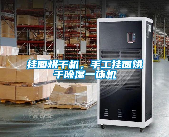 掛面烘干機，手工掛面烘干除濕一體機