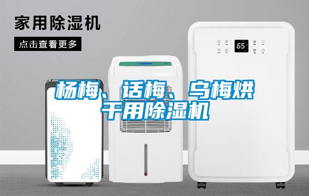 楊梅、話梅、烏梅烘干用除濕機