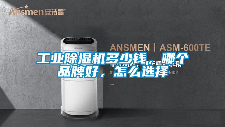 工業(yè)除濕機(jī)多少錢，哪個(gè)品牌好，怎么選擇