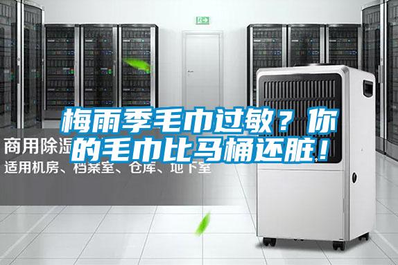 梅雨季毛巾過敏？你的毛巾比馬桶還臟！