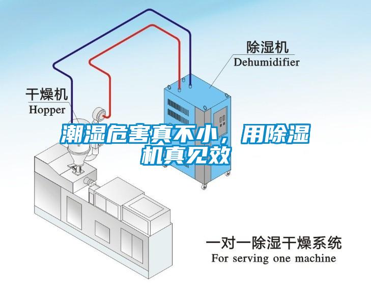 潮濕危害真不小，用除濕機(jī)真見效