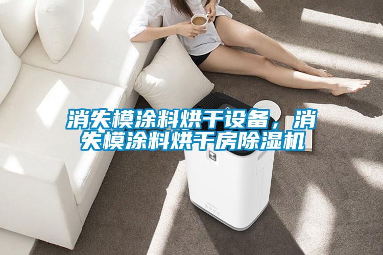 消失模涂料烘干設(shè)備，消失模涂料烘干房除濕機(jī)