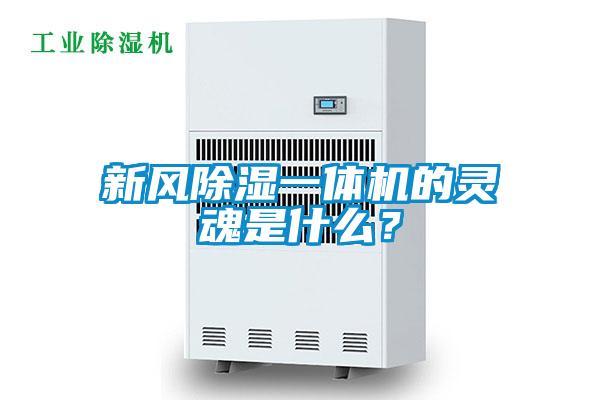 新風(fēng)除濕一體機(jī)的靈魂是什么？