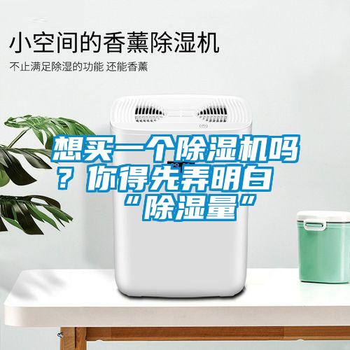想買一個(gè)除濕機(jī)嗎？你得先弄明白“除濕量”