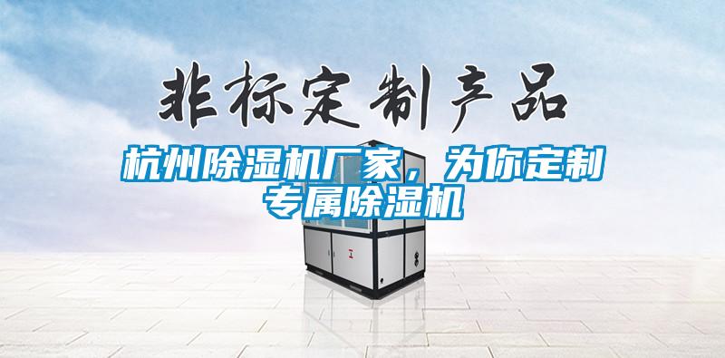 杭州除濕機(jī)廠家，為你定制專屬除濕機(jī)