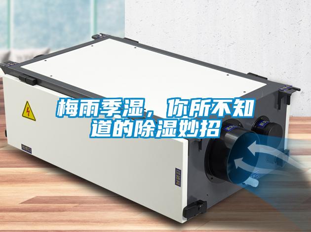 梅雨季濕，你所不知道的除濕妙招