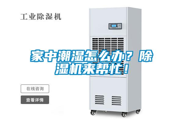 家中潮濕怎么辦？除濕機(jī)來(lái)幫忙！