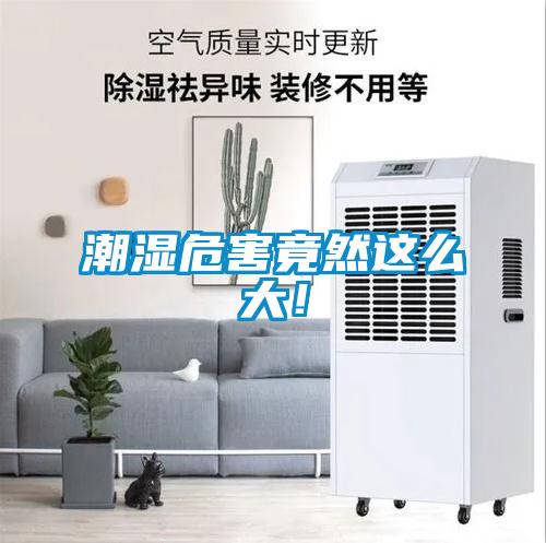 潮濕危害竟然這么大！