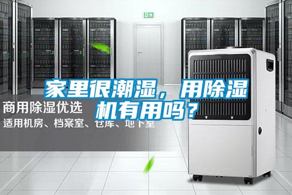 家里很潮濕，用除濕機(jī)有用嗎？