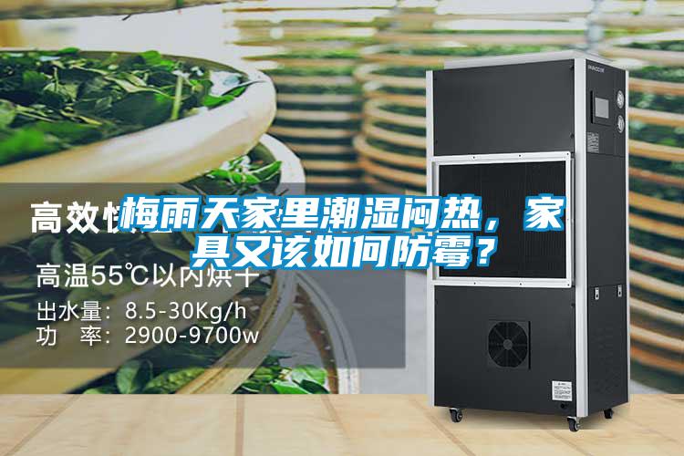 梅雨天家里潮濕悶熱，家具又該如何防霉？