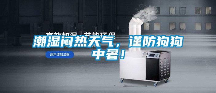 潮濕悶熱天氣，謹防狗狗中暑！