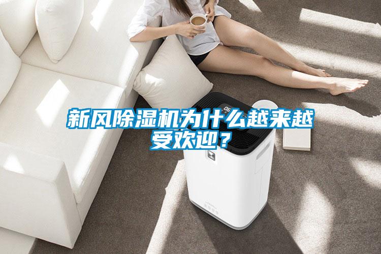 新風除濕機為什么越來越受歡迎？