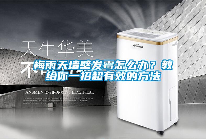 梅雨天墻壁發(fā)霉怎么辦？教給你一招超有效的方法