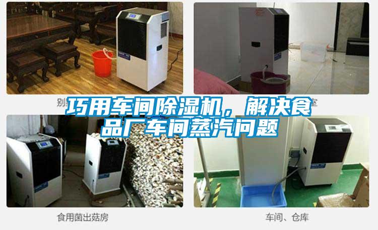 巧用車間除濕機，解決食品廠車間蒸汽問題