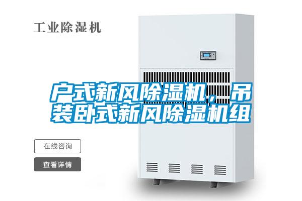 戶(hù)式新風(fēng)除濕機(jī)，吊裝臥式新風(fēng)除濕機(jī)組