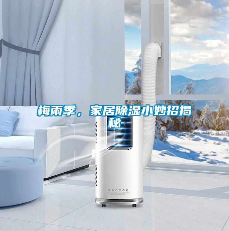 梅雨季，家居除濕小妙招揭秘