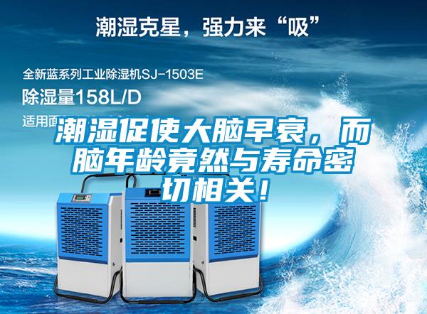 潮濕促使大腦早衰，而腦年齡竟然與壽命密切相關(guān)！