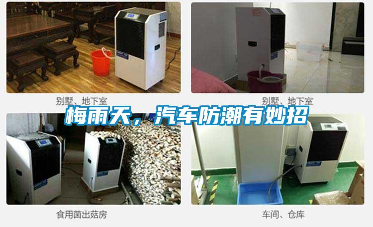梅雨天，汽車防潮有妙招