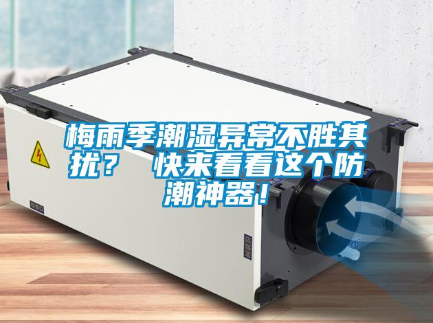 梅雨季潮濕異常不勝其擾？ 快來(lái)看看這個(gè)防潮神器！