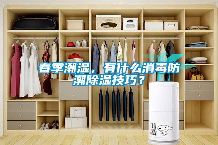 春季潮濕，有什么消毒防潮除濕技巧？