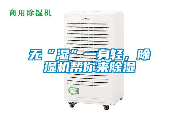無“濕”一身輕，除濕機幫你來除濕
