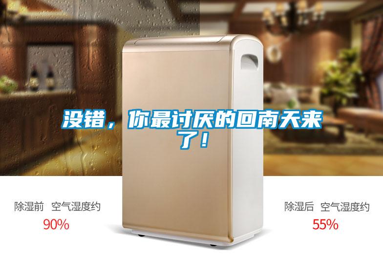 沒錯(cuò),你最討厭的回南天來了!
