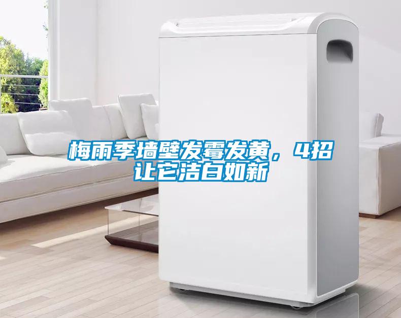 梅雨季墻壁發(fā)霉發(fā)黃，4招讓它潔白如新