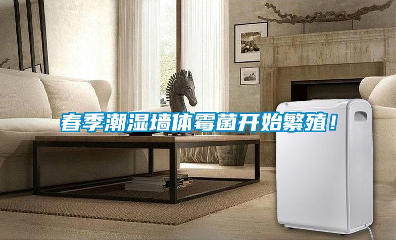 春季潮濕墻體霉菌開始繁殖！