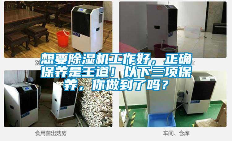 想要除濕機(jī)工作好，正確保養(yǎng)是王道！以下三項(xiàng)保養(yǎng)，你做到了嗎？