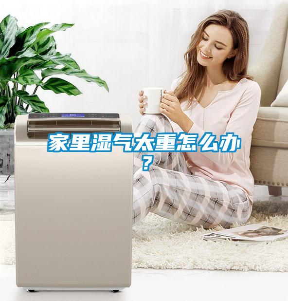 家里濕氣太重怎么辦？