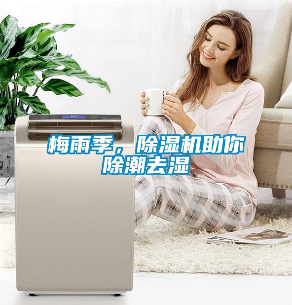 梅雨季，除濕機(jī)助你除潮去濕