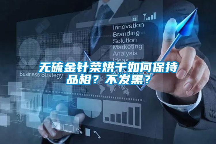 無硫金針菜烘干如何保持品相？不發(fā)黑？