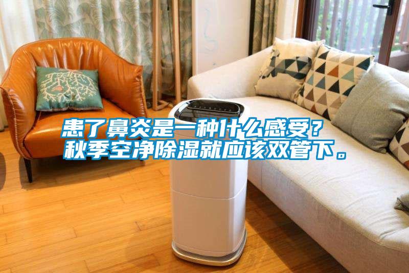 患了鼻炎是一種什么感受？ 秋季空凈除濕就應該雙管下。