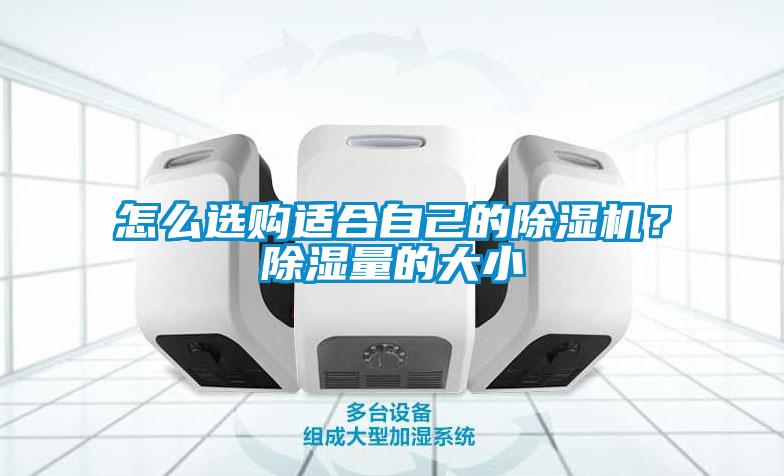 怎么選購(gòu)適合自己的除濕機(jī)？除濕量的大小
