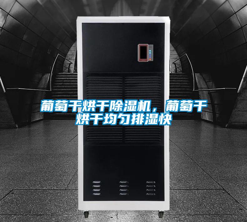 葡萄干烘干除濕機(jī)，葡萄干烘干均勻排濕快