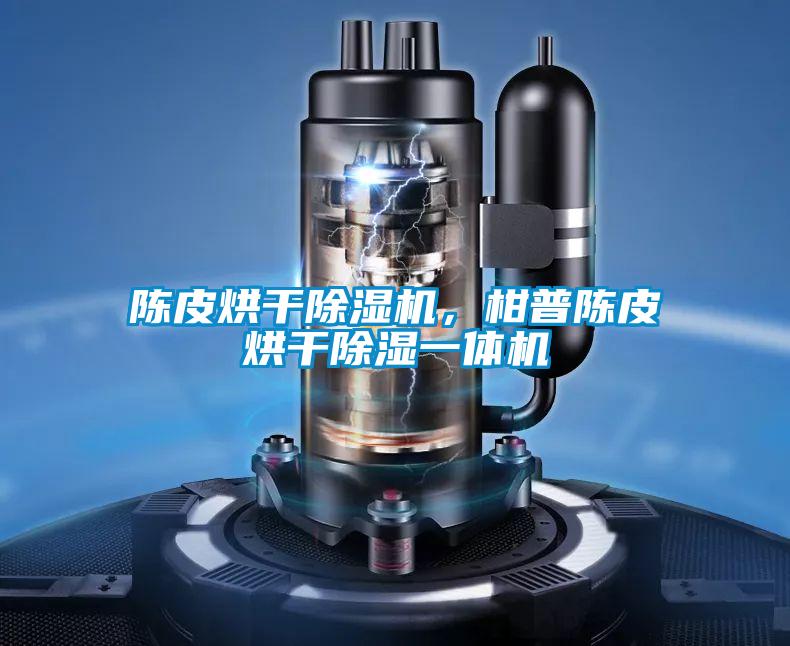 陳皮烘干除濕機(jī)，柑普陳皮烘干除濕一體機(jī)