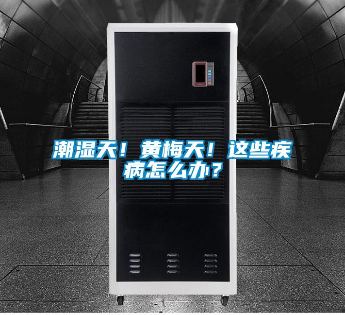 潮濕天！黃梅天！這些疾病怎么辦？