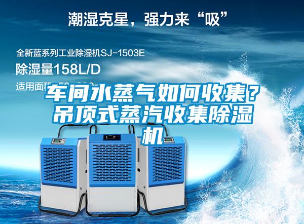 車間水蒸氣如何收集？吊頂式蒸汽收集除濕機(jī)