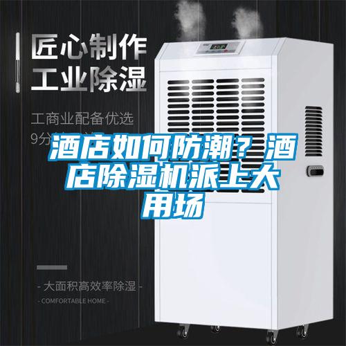酒店如何防潮？酒店除濕機派上大用場