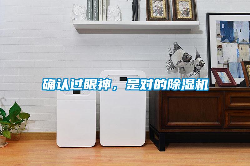 確認(rèn)過(guò)眼神，是對(duì)的除濕機(jī)