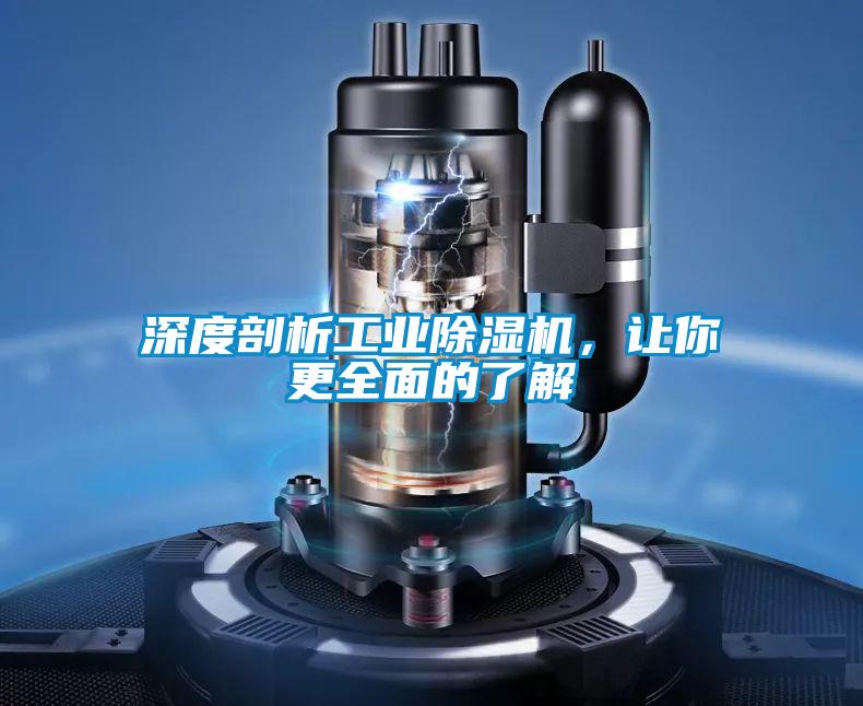深度剖析工業(yè)除濕機(jī)，讓你更全面的了解