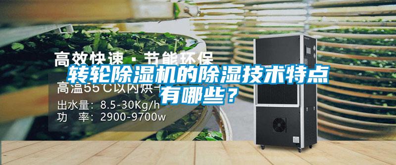轉(zhuǎn)輪除濕機的除濕技術(shù)特點有哪些？