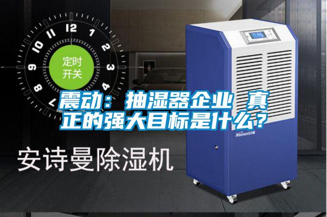 震動：抽濕器企業(yè) 真正的強大目標(biāo)是什么？