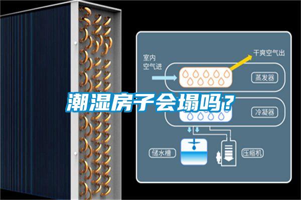 潮濕房子會塌嗎？