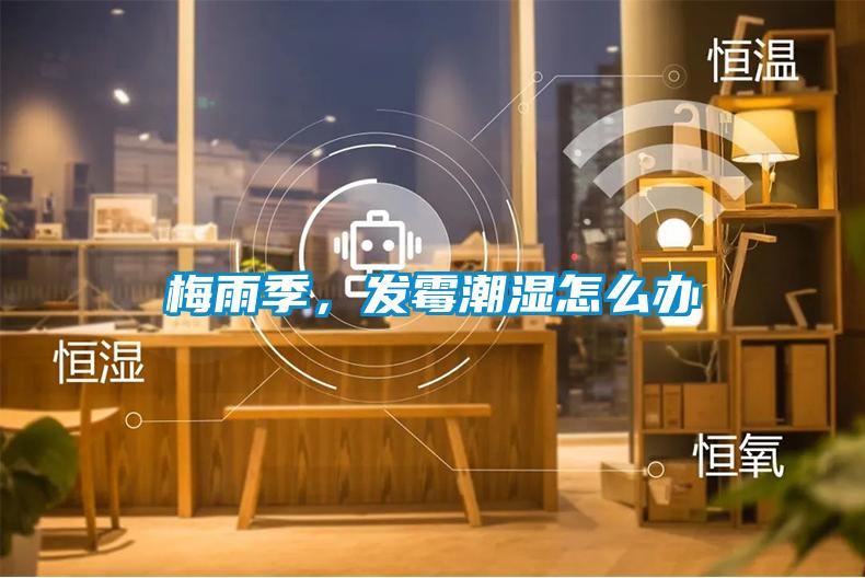 梅雨季，發(fā)霉潮濕怎么辦